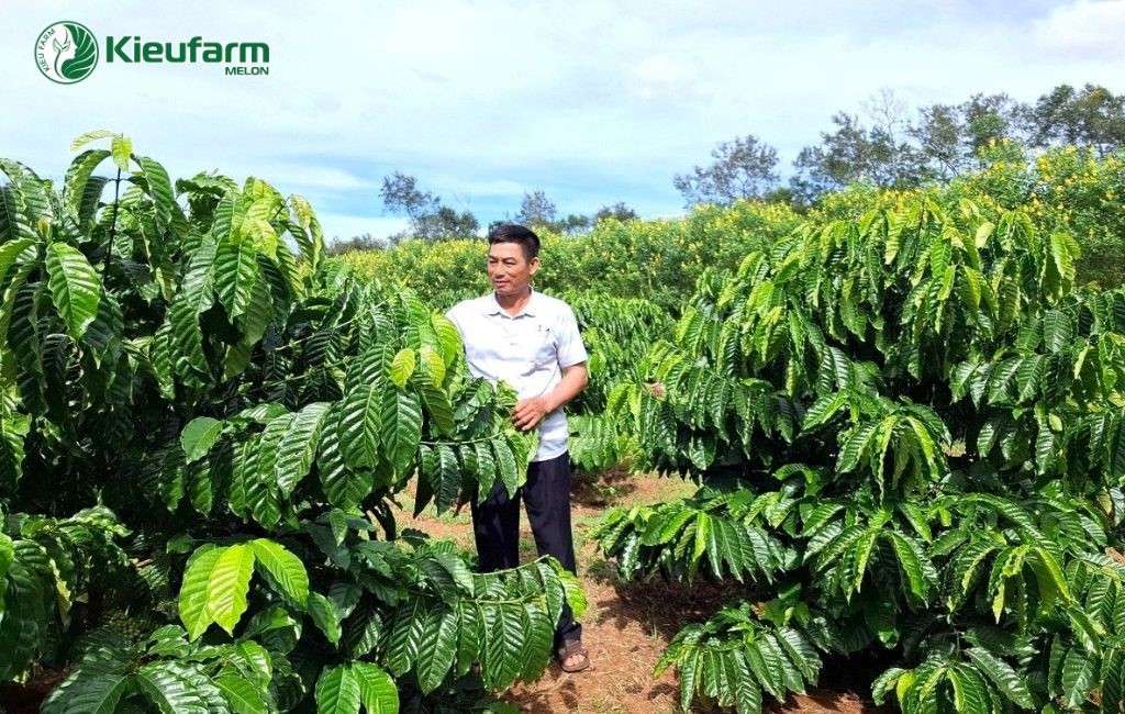 Đắk Lắk - từ nông nghiệp công nghệ cao đến một hệ sinh thái phát triển mới